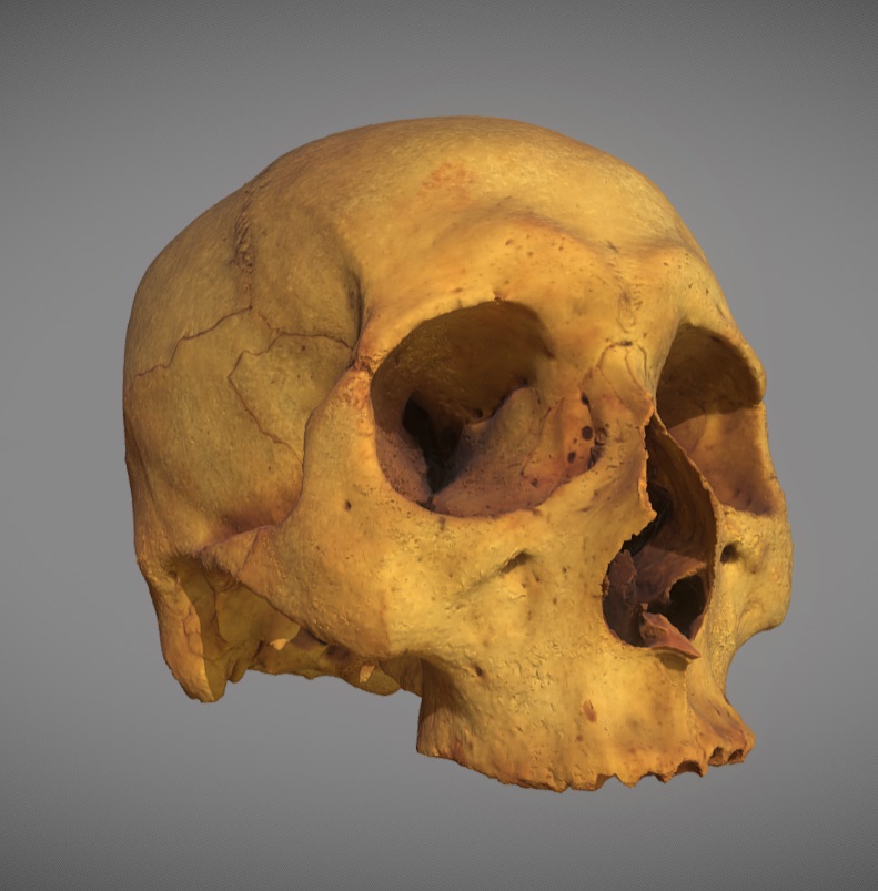 Human skull  preview image 1